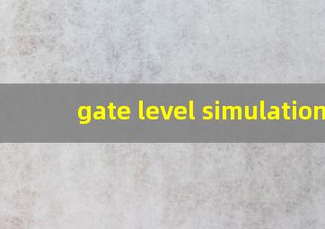 gate level simulation